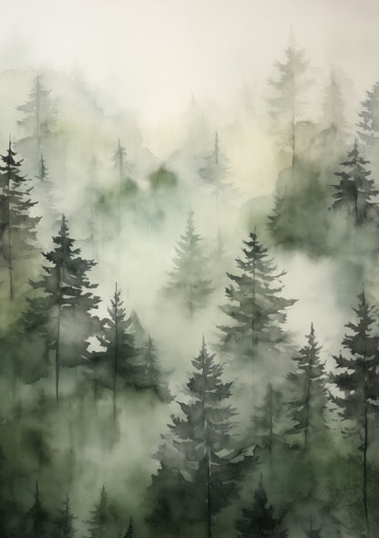 Forest in fog